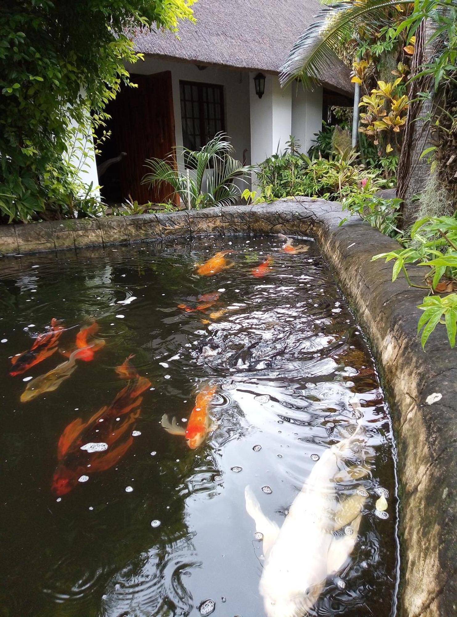 African Ambience Guest House เซนต์ลูเซีย ภายนอก รูปภาพ