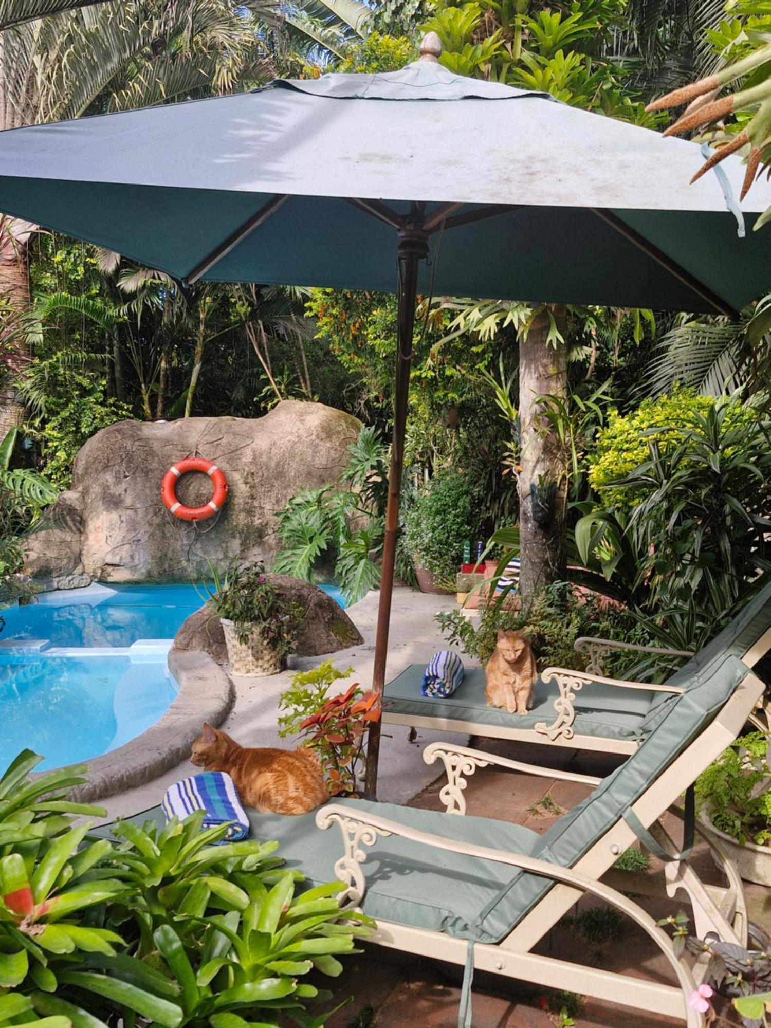 African Ambience Guest House เซนต์ลูเซีย ภายนอก รูปภาพ
