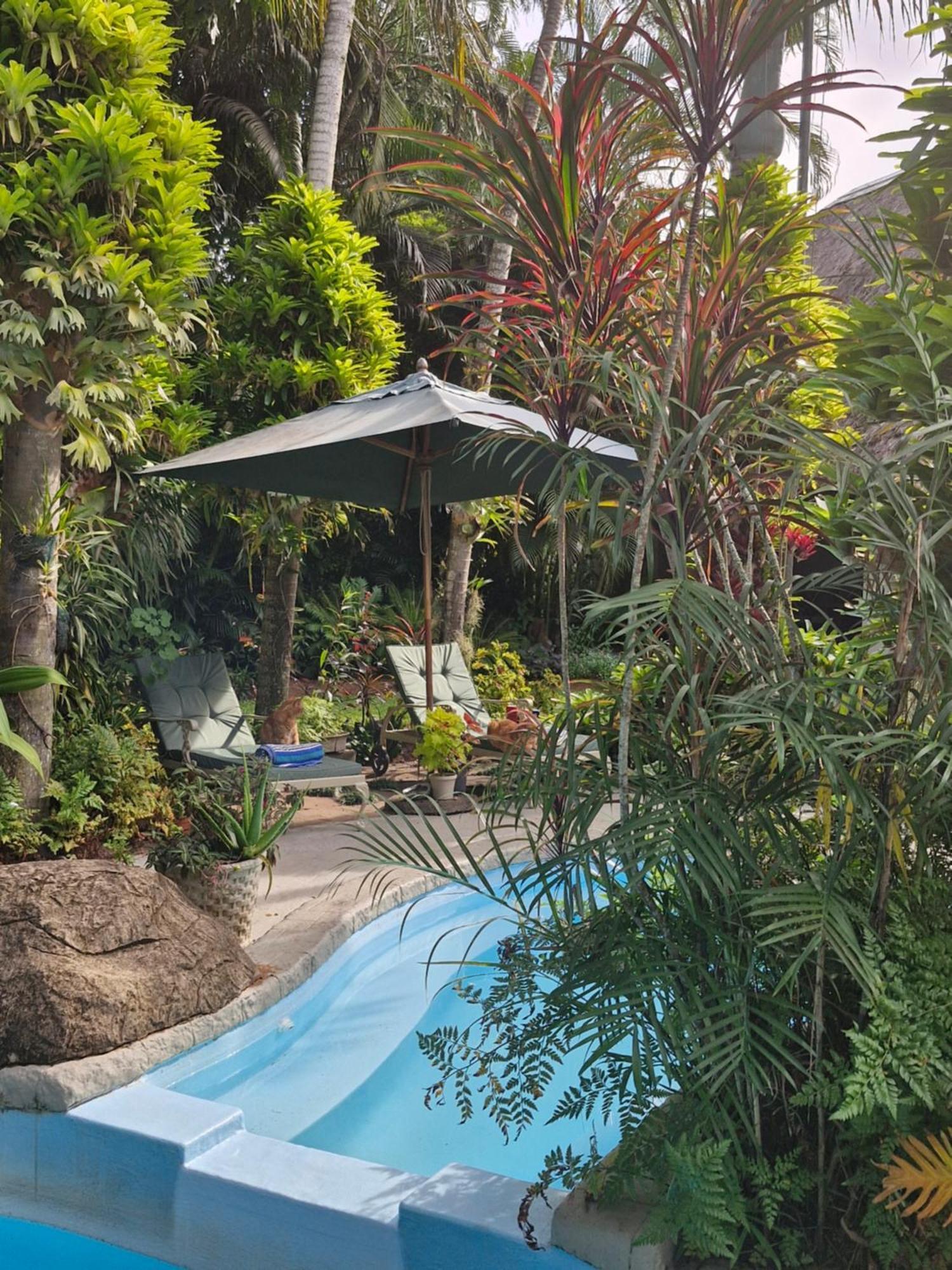 African Ambience Guest House เซนต์ลูเซีย ภายนอก รูปภาพ