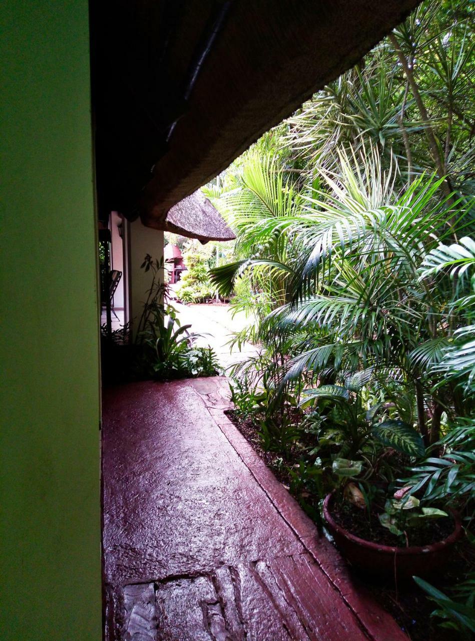 African Ambience Guest House เซนต์ลูเซีย ภายนอก รูปภาพ